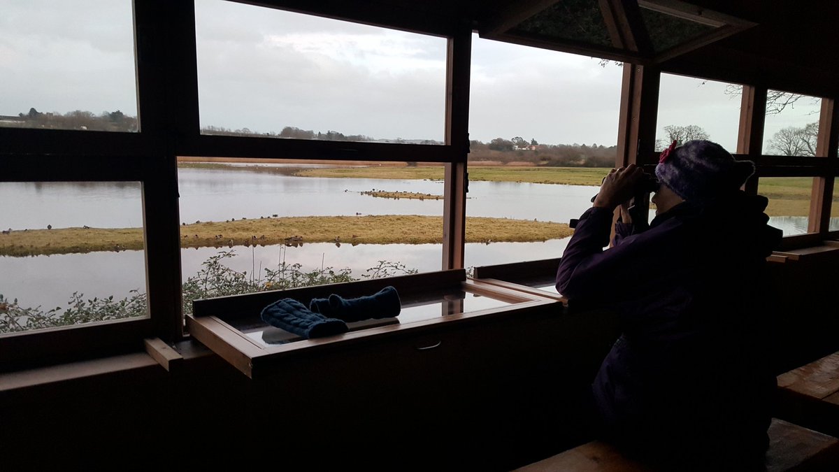heyjooode's tweet photo. Always enjoy late afternoon down at #bowlinggreenmarsh when I'm back in the 'shire @RSPBExeEstuary #devonlass #birdingwithmother https://t.co/QfuiEkku4U