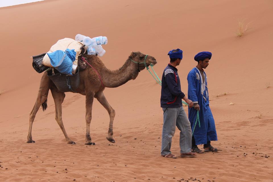 HireGuide's tweet image. Sahara Trek
hiremyguide.com