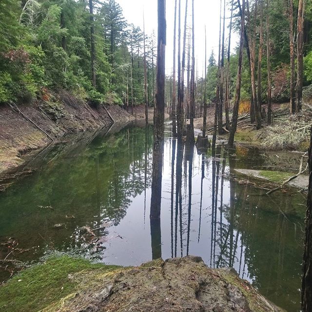Slug_Pace's tweet photo. Kent Lake, hiker accessable only https://t.co/0RzkrPoE0H https://t.co/L3KxeXsu8R