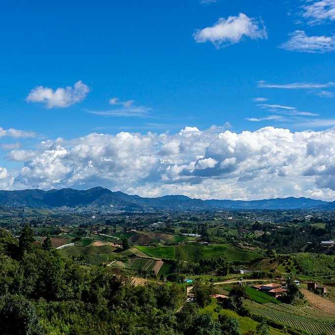 #Winter is here! But guess what? There's an escape. Be among the first to explore #Colombia in bloom: cannua.com