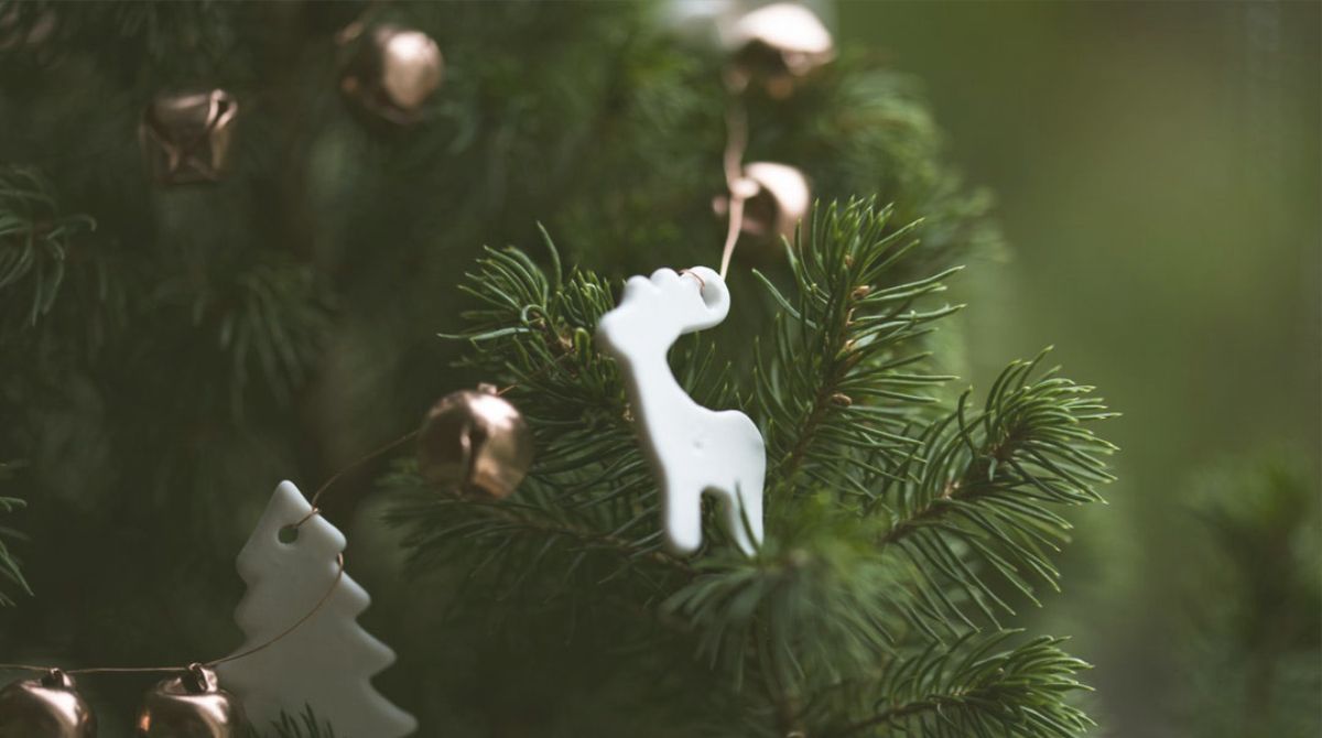 SmithandCarson's tweet photo. The S&amp;C family wishes you a wonderful holiday season. ❄️🎄

#HappyHolidays https://t.co/isvHv2BLOW