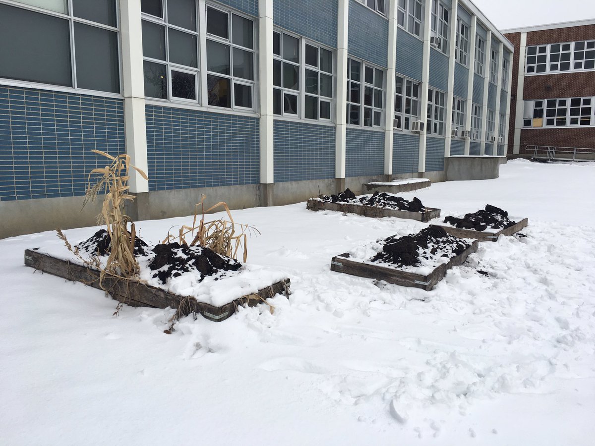 EricBetteridge's tweet photo. Recently added some awesome rich soil to our “Hillcrest Gardens” raised beds. Ready for spring planting #organicfarming #localproduce #OCDSB #TeachSDGs #envirOCDSB https://t.co/mL4OhuL2Xs