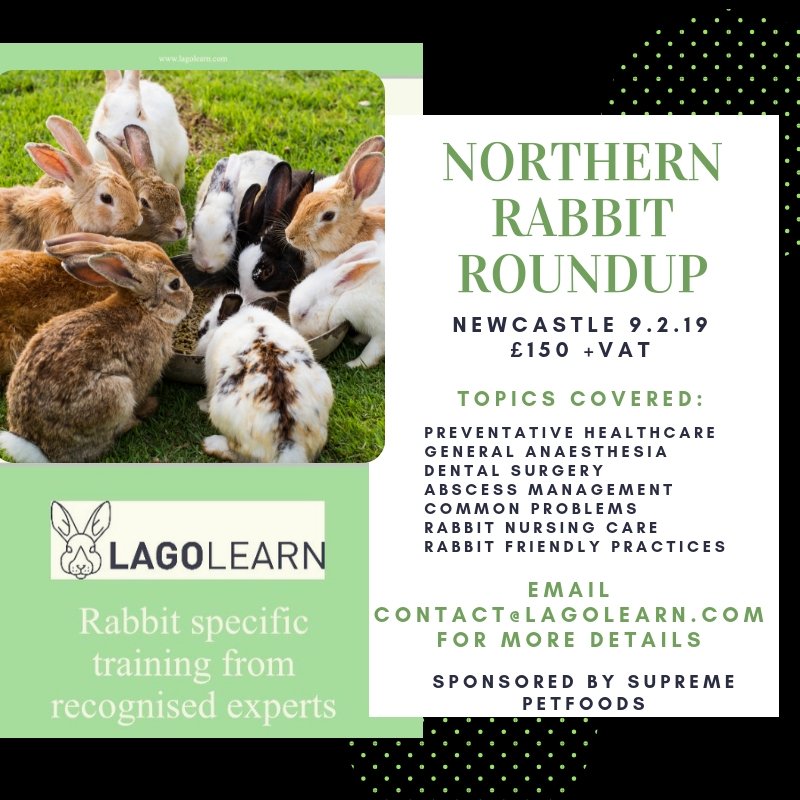 Lagolearn's tweet image. Have you booked your place yet for our Northern Rabbit Roundup in Newcastle? #rabbitCPD