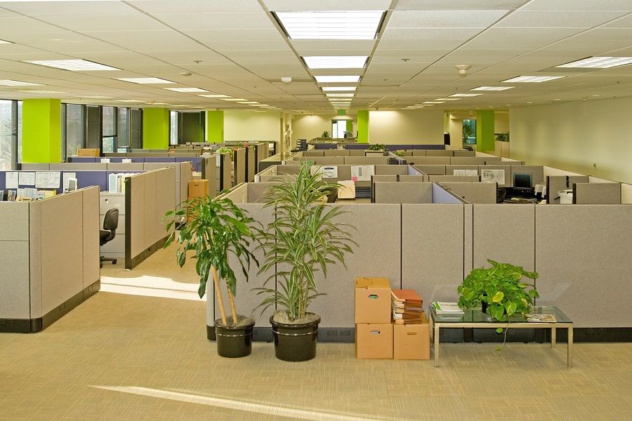 GovernmentCIO Talent tweet media