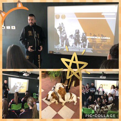 RealejosNazaret's tweet photo. Experts make us GROW!!!Knowing more about dogs training thanks to https://t.co/SC8FAQ0YyC. #dejandohuella #canislupusk-9.com #Workshops2018 #BeLiveBeLife @coleinnovadores https://t.co/PNXQMsOCuZ