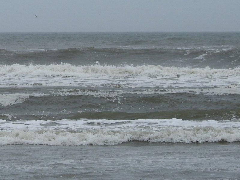 CorollaSurfShop's tweet photo. We had last-minute shoppers in the store getting stuff for Christmas. Gotta help my friends. The wind is out of the south at 17 mph bring in warm air. Wave height is head high but the sections are closing out and surface conditions are very rough. #corollasurfshop https://t.co/Z3inBjCDM5