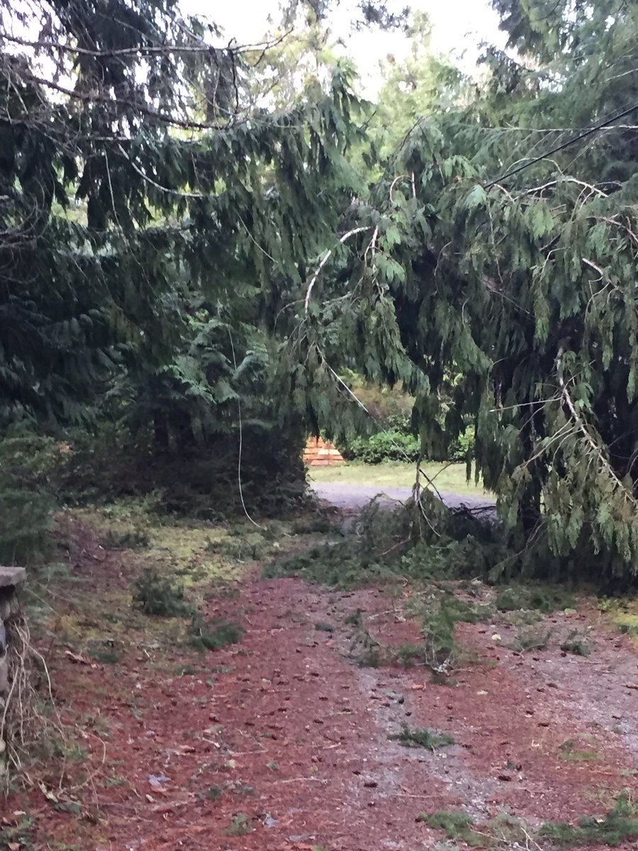 SueUrie's tweet photo. Down and out in Dashwood #linesdown #powerout #BCstorm #vancouverisland https://t.co/55wHoJIU8x