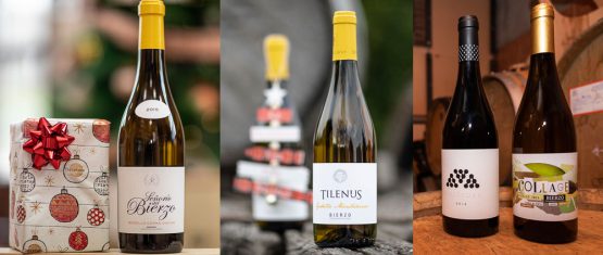 Vinos del #Bierzo que recomendamos para tu mesa esta Navidad  🎄🍷
infobierzo.com/los-vinos-del-…