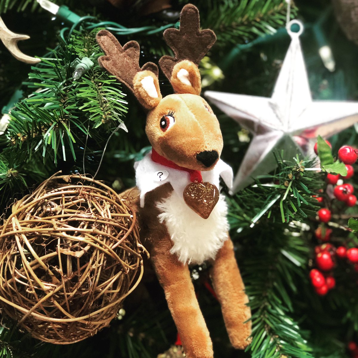 Congratulations to Caroline Wade for winning the $50 gift card to our store! Our reindeers name is now Rudy!