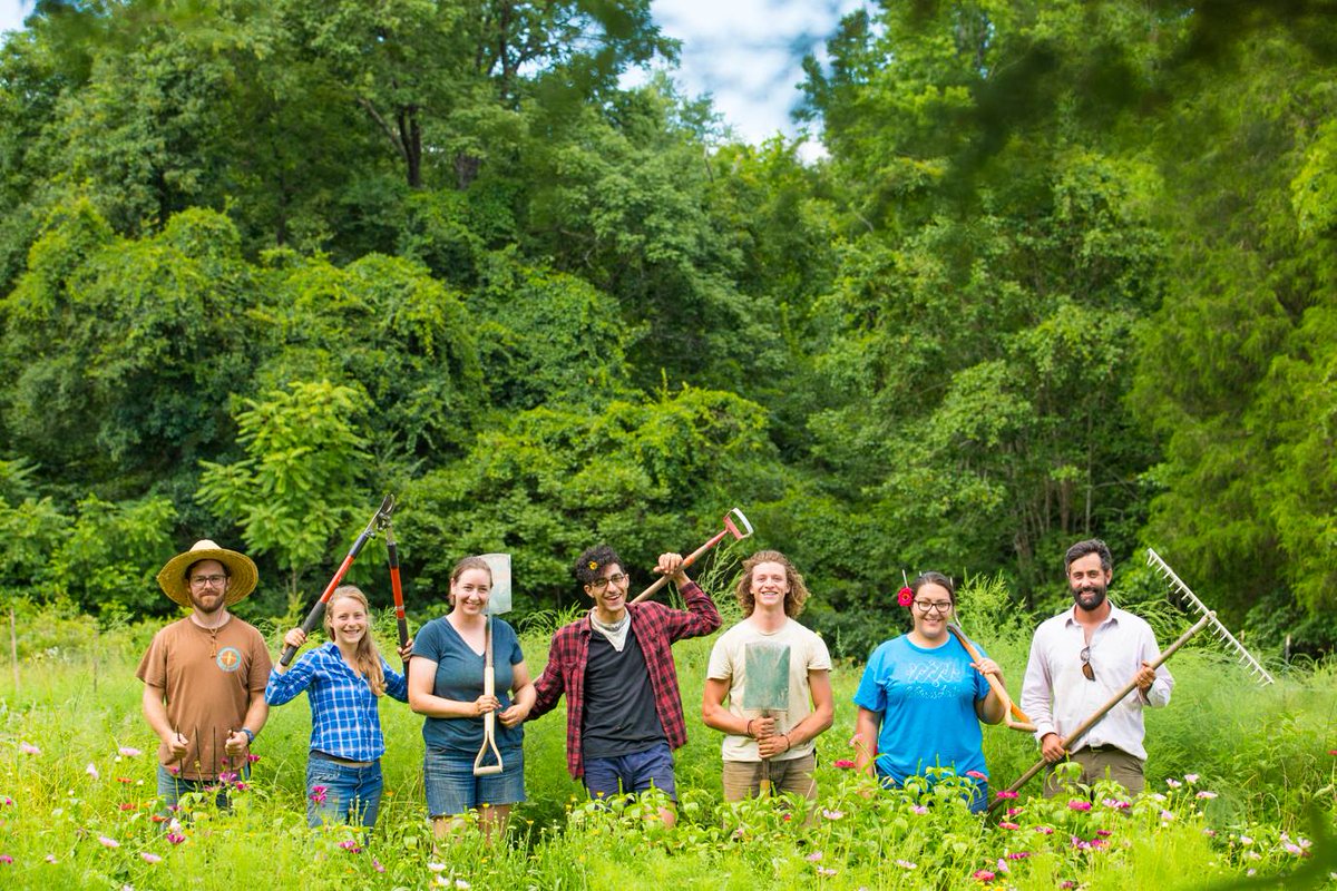 We are thrilled to announce our 2019 grant recipient: <a href="/anathothgarden/">Anathoth Garden</a>! They work to heal divisions between neighbors and the land by growing food together in Cedar Grove. Join at longleafcollective.org/membership/get… … &amp; give via <a href="/TriComFdn/">Triangle Community Foundation</a> at trianglecf.org/donate/  before Dec 31. #donate