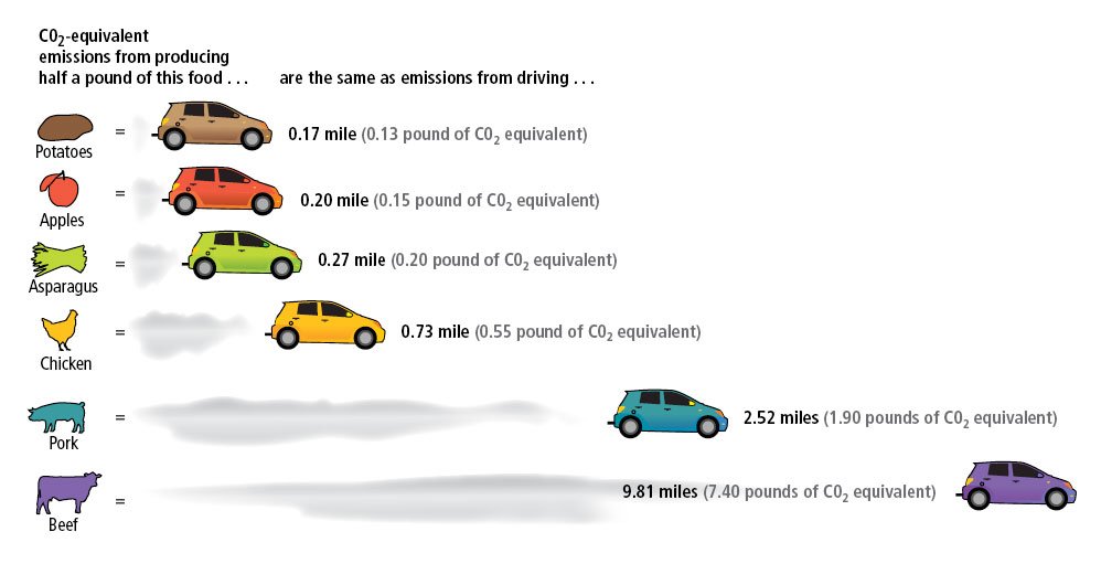 TjCaddo's tweet photo. The next time that you think about how bad your driving is for the environment, just remember that eating meat, especially beef is equally as bad, if not worse
#Environmentalism #EM203weber https://t.co/D16wfOKLAm