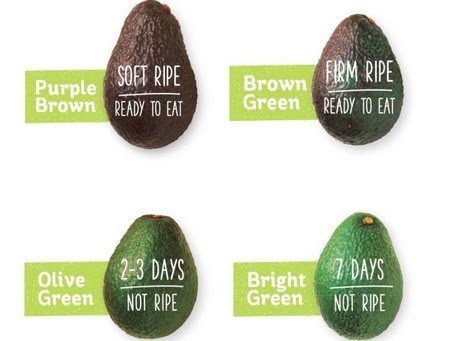 Think before you squeeze!! #avocados 
freshplaza.com/article/905164…