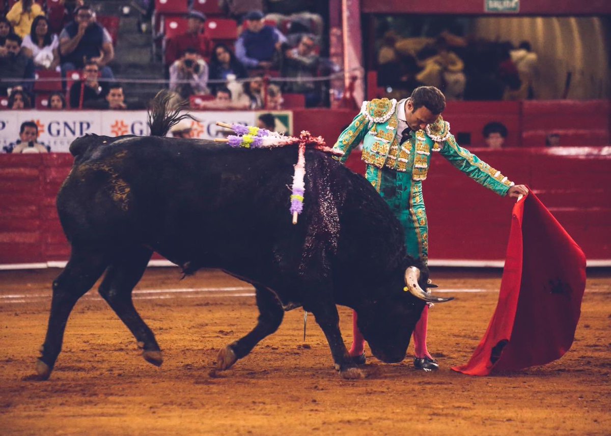 Momentos del matador Antonio Ferrera con el toro “Abuelo” de Santa Barbara , segundo de su lote.

#dondenacenlasemociones
#LaMexico