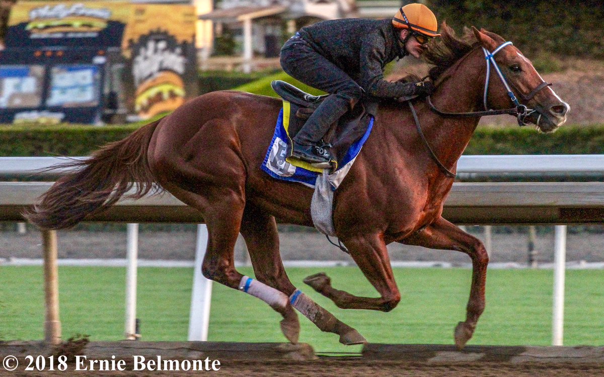 Ernie_Belmonte's tweet photo. Kanthaka working early this morning under jockey Flavien Prat aboard. https://t.co/zR6CHYUodb