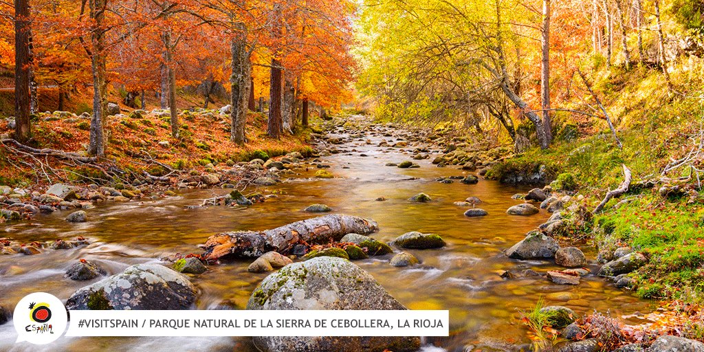 España en Latam (@espanaenlatam) on Twitter photo If you want to enjoy the last days of autumn, then the Sierra de Cebollera Nature Reserve is the ideal place for you! #VisitSpain #LaRioja #SpainNature <a href="/lariojaturismo/">La Rioja Turismo</a> If you want to enjoy the last days of autumn, then the Sierra de Cebollera Nature Reserve is the ideal place for you! #VisitSpain #LaRioja #SpainNature <a href="/lariojaturismo/">La Rioja Turismo</a>