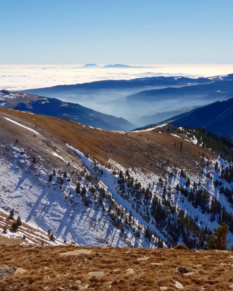 ricardrigall's tweet photo. Vistes des del Puig de Coma Ermada a gairebé 2.500 metres d'altitud, entre Setcases i Mentet, amb el Montseny al fons, enmig d'un mar de núvols. #setcases #elmontseny #puigdecomaermada #elripollès #mentet #elconflent #catalunyanord #sensebici #ambgrampons #snowshoeing #tardor2018 https://t.co/FkNnYouPUX