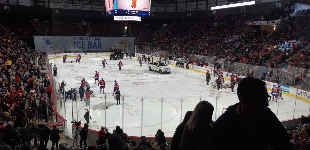 Cheering on the home team <a href="/monctonwildcats/">Moncton Wildcats</a> #TeddyBearToss