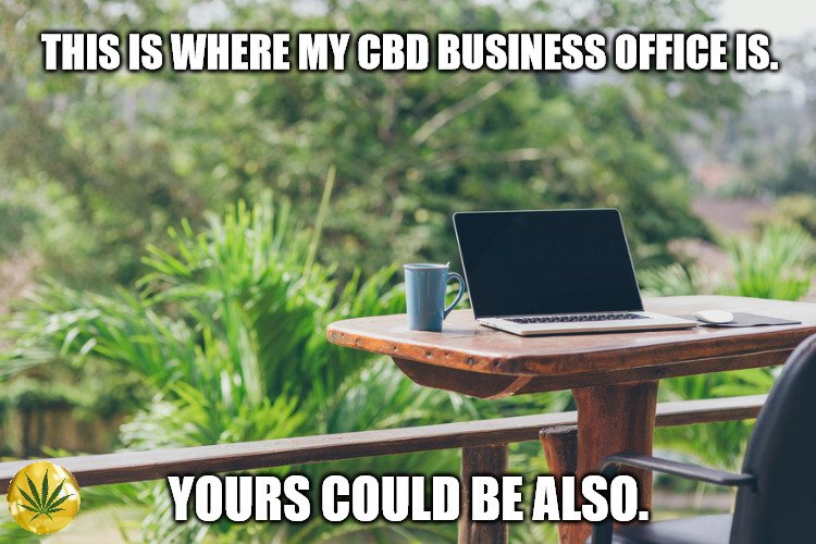 CbdNeil's tweet photo. @5tonergirl420 Starting a CBD business in this industry is tough. Just sharing the love and letting you know if you want to make some money by hopping onboard and spreading the wealth yourself. https://t.co/v9PTTdCLoD https://t.co/QEKqPdVW4I