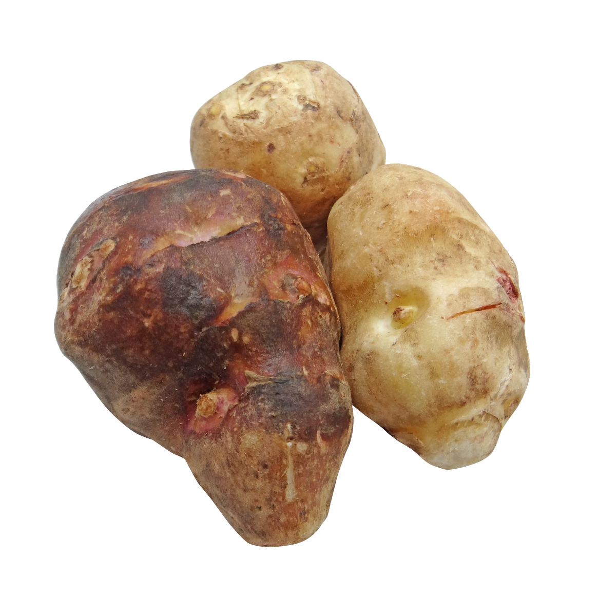 sounddietitians's tweet photo. Have you ever tried a #sunchoke before? This strange vegetable is creamy like a potato & can be eaten raw or cooked. Check out our latest #blog post for more info & a delish recipe! #soundnutrition https://t.co/53DwdeQqYd #rdapproved https://t.co/4PH0QCvivv