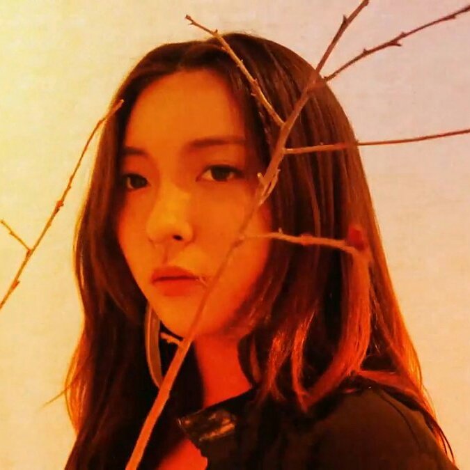 functionlq's tweet photo. — luna ♡ https://t.co/Q0C4ONoWnN