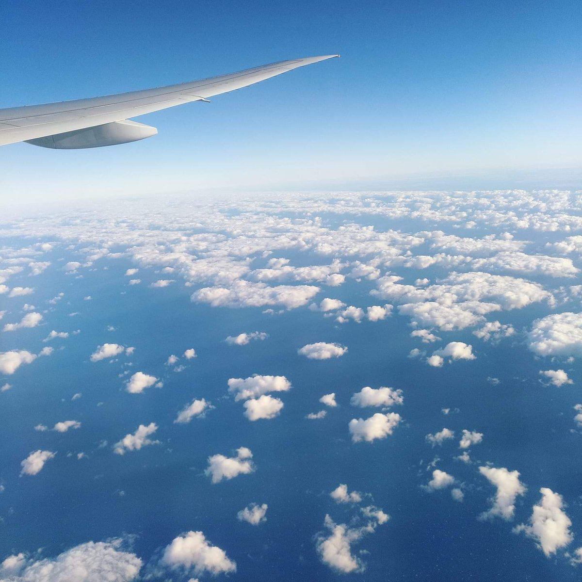 Historias de una viajera: "volver a casa por Navidad, a los 30" -> bit.ly/2KSZnp2

#nuevopost #viajar