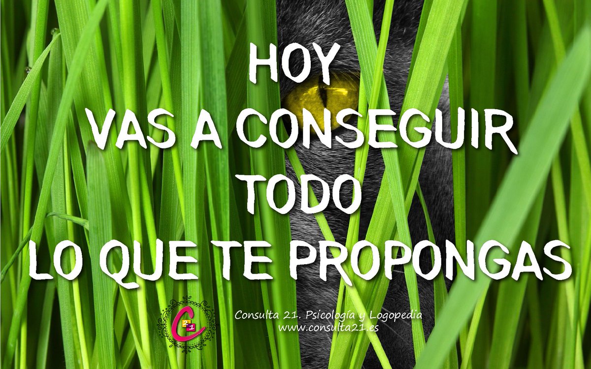 Consulta_21's tweet photo. #RetoDelDia ✅ Conseguir todo lo que te has propuesto. 💪 

#PonteRetos #Consiguelos #VeHaciaTusMetas #SiSePuede https://t.co/jFBi0z6fGz