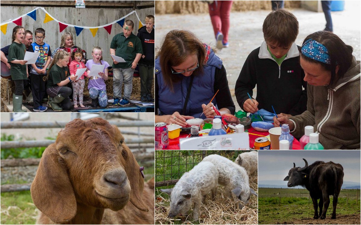 visitstronsay's tweet photo. Open Farm day at Kirbister Farm, Stronsay this Summer. https://t.co/fSUedBxFAZ