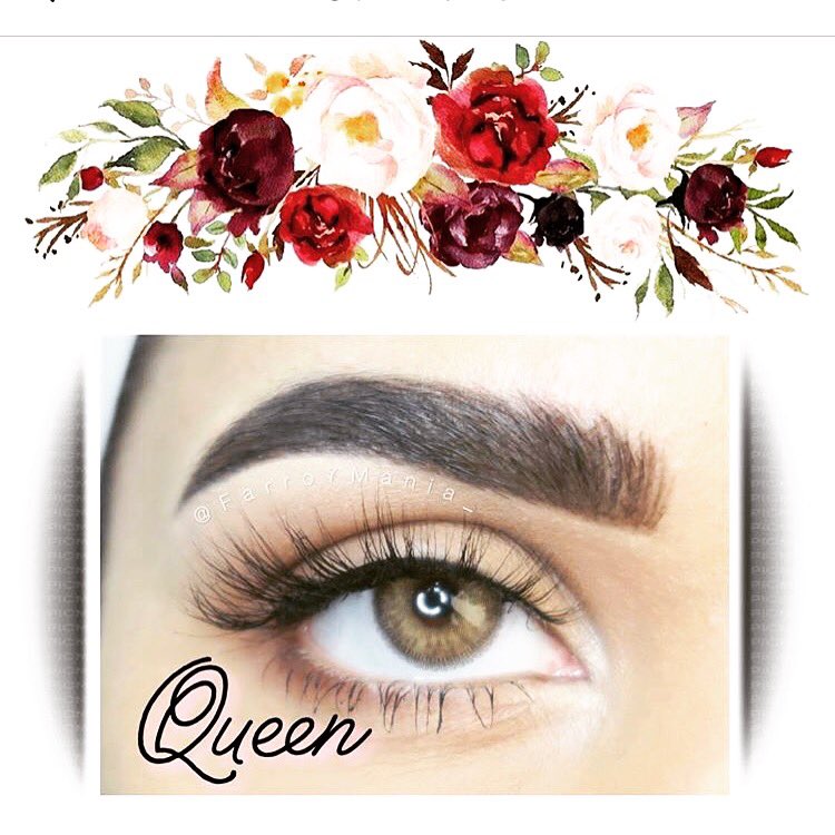 lashes_vecci's tweet photo. @nohastyleicon https://t.co/ry1HqNg8EX