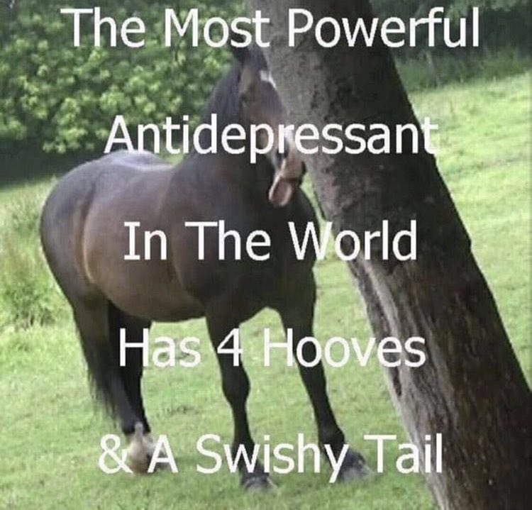 moppardy's tweet image. 