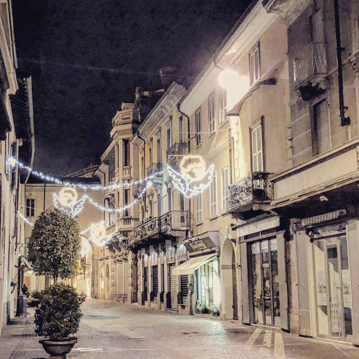 LodiToday's tweet photo. #Lodi #GoodNight 🎄 https://t.co/Hrn4x8APAr