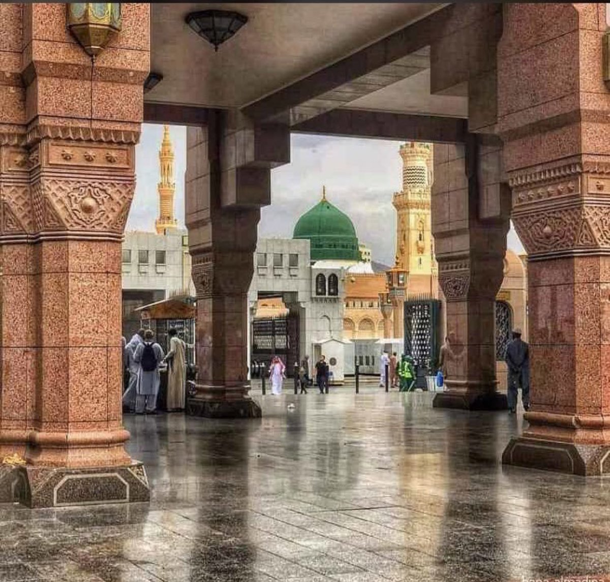 ريم سعيد الاحمدي tweet media