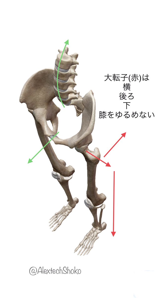 テクニーク アレクサンダー