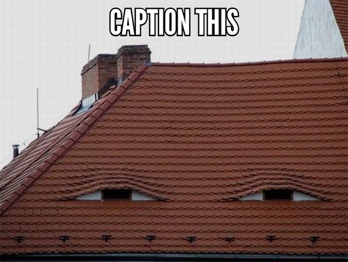 calgaryroofer's tweet photo. For some reason, the song "Somebody's Watching Me" comes to mind... π
Hope everyone had a nice weekend! π
#advancedlevelroofing #captionthis #happysunday #calgaryroofers #roofing #calgary #calgaryab #alr #roof https://t.co/bCUZmFD5pi