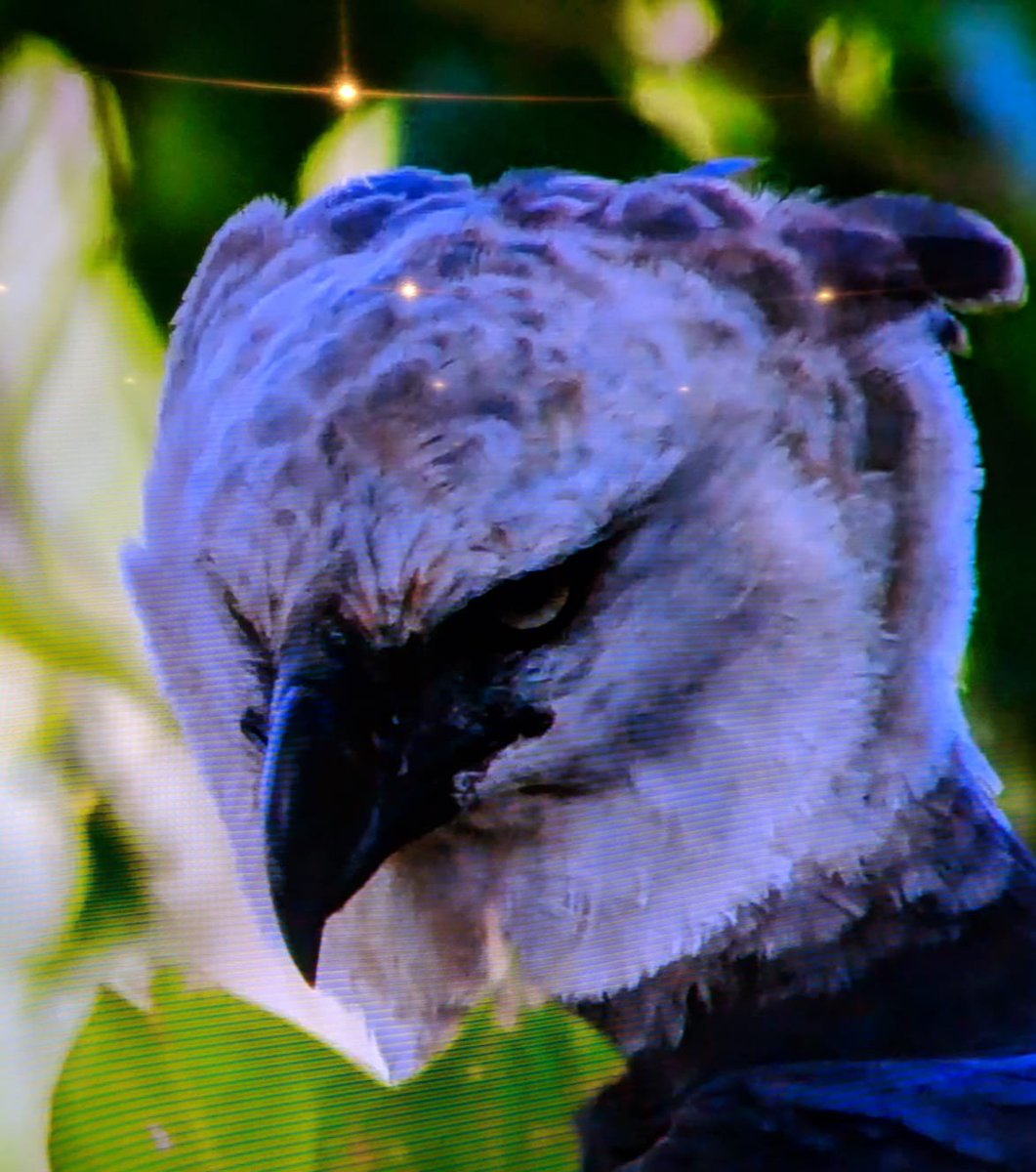 BakerBains's tweet image. Taava on full blast and I tell my mum that I don&apos;t want roti...
#desiproblems