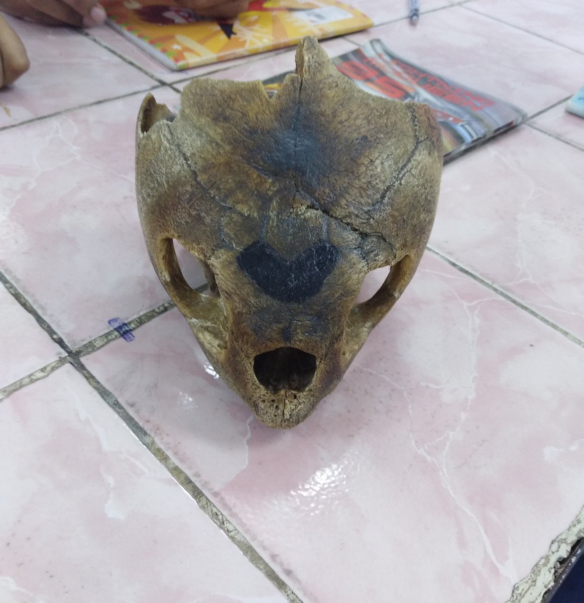 Mahmoud71365180's tweet photo. والله انا خايف بدل م انتي الي تقوليلي stay with me in 2019 😂😂💔
#Compartive #anatomy 😥 https://t.co/MJuZcmT0gS