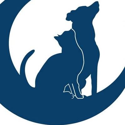 Welcoming 4 more very important charities to the fair, offering a plethora of goodies to help raise some much needed funds - West Sussex Hunt Sabs &amp; Monitors <a href="/foxguardiansuk/">Fox Guardians</a> <a href="/vivacampaigns/">Viva!</a> and Help the Street Animals of Morocco 💖🎄🎅❄️🐾#HelpForTheAnimals #Vegan