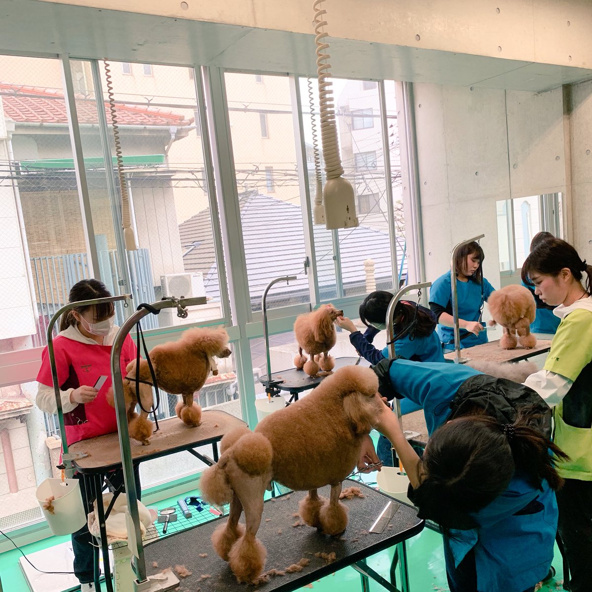 神戸 ブレーメン動物専門学校 211560神戸 ブレーメン動物専門学校 偏差 値 Saesipapictaxj