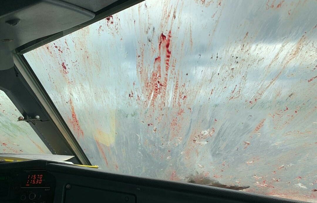 club_cabin's tweet photo. Massive #birdstrike #ATR72 from @PrecisionAirTz at Mwanza airport, Tanzania 🇹🇿 #cabincrewlife #cabincrewclub #cabincrew #flightdeckcrew #flightattendant #azafata #aeromoza #sobrecargo #tcp #safetytraining #SafetyFirst https://t.co/7bagmkv9Z8