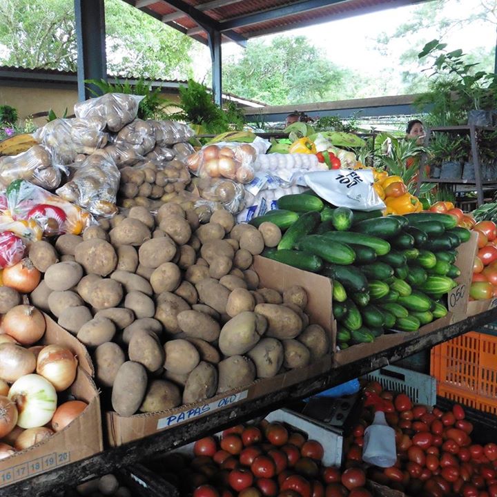 PanamaRR's tweet image. The open air markets at El Valle Anton are filled with fresh produce and lots of local arts and crafts.  El Valle is home to the butterfly haven, ziplines, ATV, waterfall, petroglyphs and much more!  Pick up from all resorts!