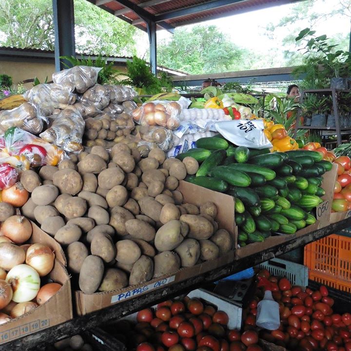 The open air markets at El Valle Anton are filled with fresh produce and lots of local arts and crafts. El Valle is home to the butterfly haven, ziplines, ATV, waterfall, petroglyphs and much more! Pick up from all resorts!