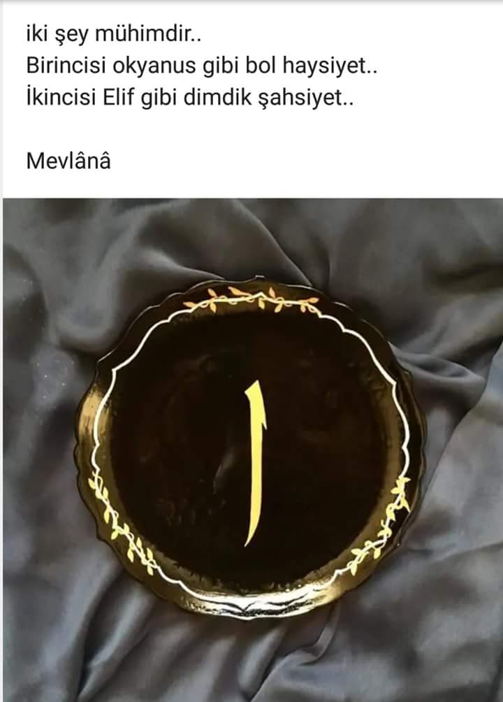 "İki şey mühimdir;
Birincisi okyanus gibi bol haysiyet,
İkincisi Elif gibi dimdik şahsiyet...

         ~MEVLANA~