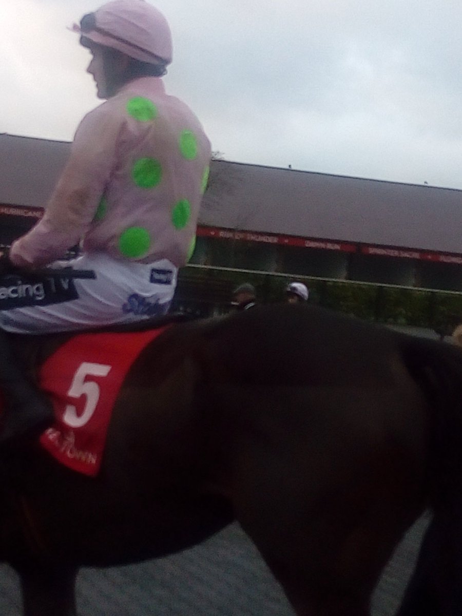 JoeSeward1's tweet photo. One of the most exciting moments of a terrific days racing @punchestownrace was @Ruby_Walsh asking #Getabird for a big jump at the last in the begs chase & he responded to seal the race in style . might make into a King George type @kemptonparkrace
2019 or 2020
#Punchestown https://t.co/2zmOBCurOA