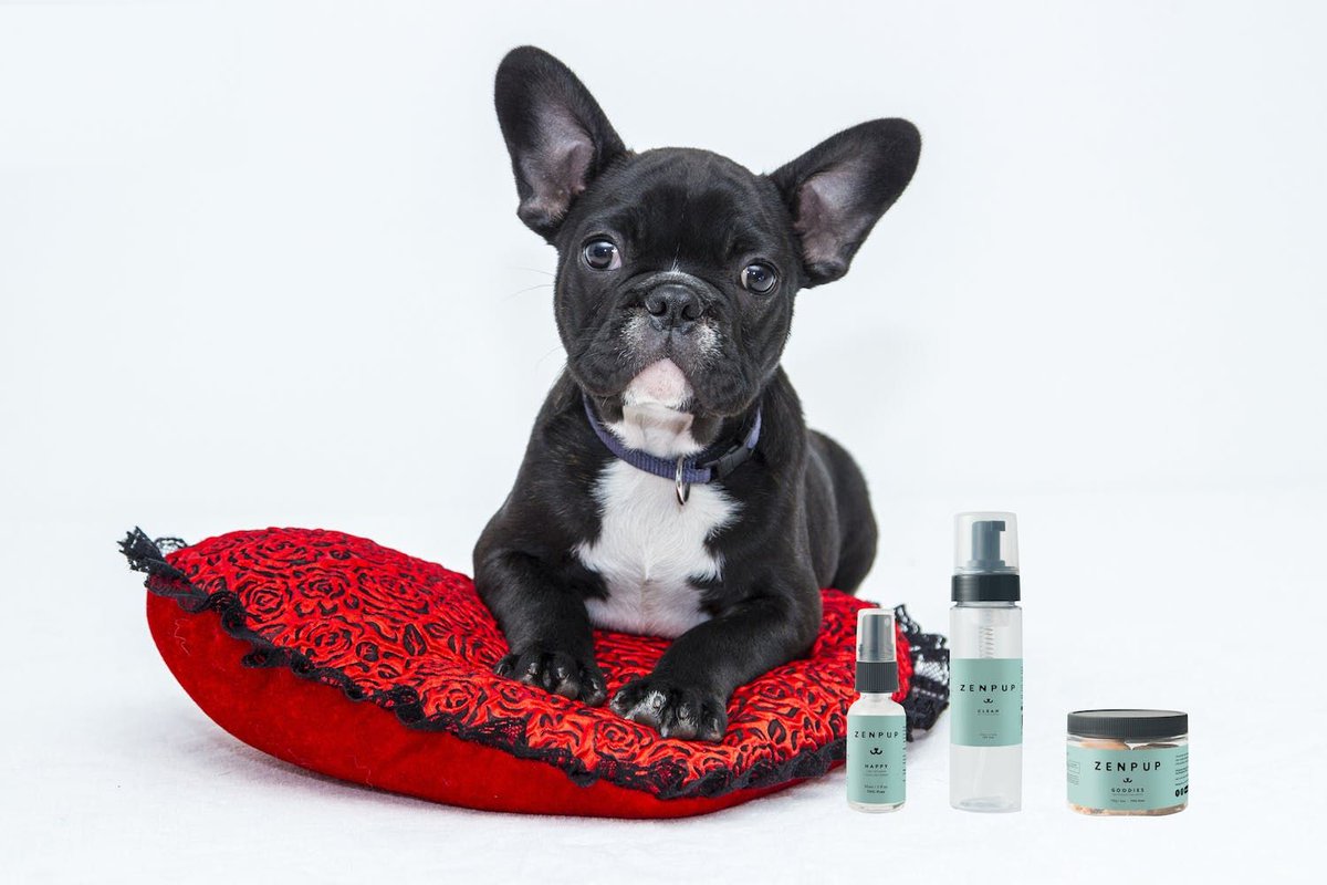 Ryan Hoover tweet media