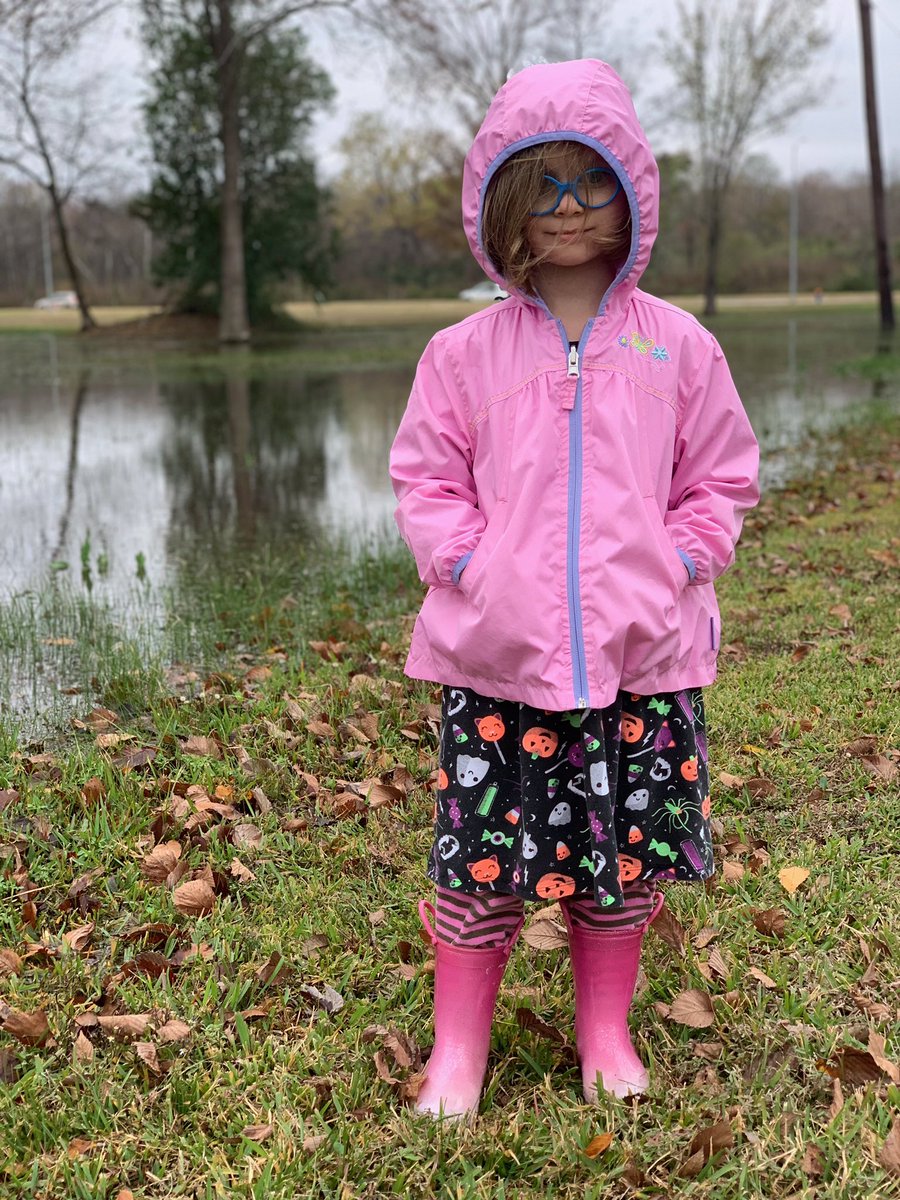 AllisonMaster's tweet image. Took a walk to get pond water to look at under the microscope, came back with two tadpoles. @RTylerHillmanMD #sciencesunday #STEMstartsearly