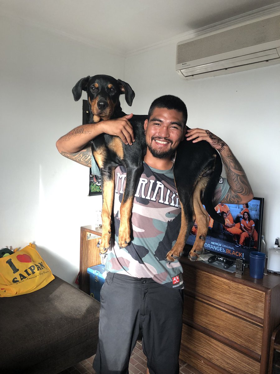 pikaboo670's tweet photo. Meet my bestest friend Doby if you haven’t already fams 🖤🔥 #Doberman #6mos https://t.co/Fk8GMpZ4RA