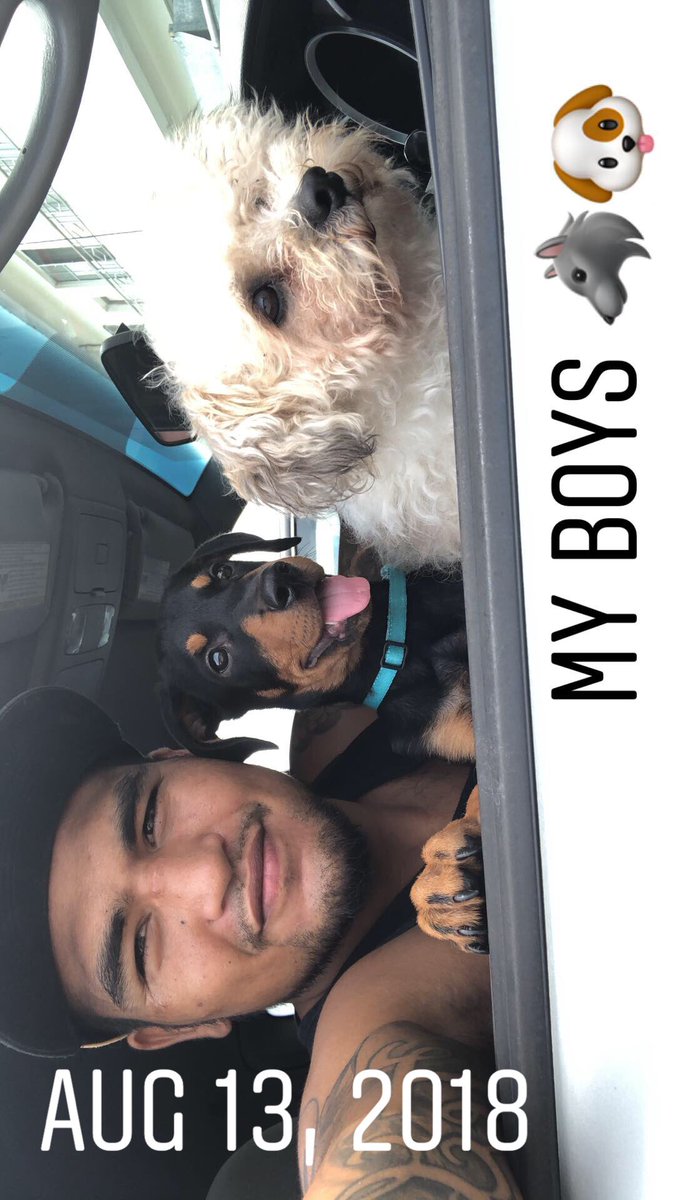 pikaboo670's tweet photo. Meet my bestest friend Doby if you haven’t already fams 🖤🔥 #Doberman #6mos https://t.co/Fk8GMpZ4RA