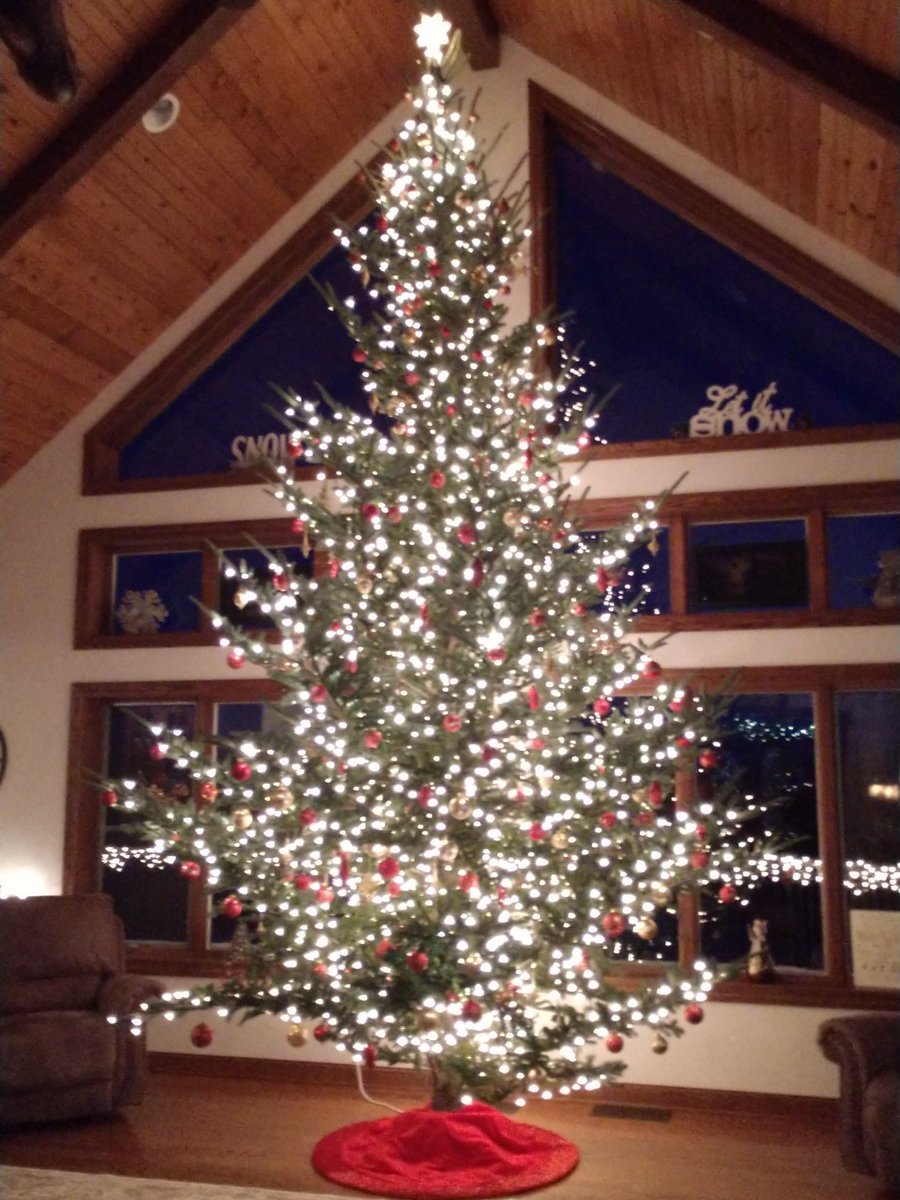 JacobScriver's tweet image. I think my dad might be related to the Griswold's. Always have to get as big of a tree that the room will fit. This tree is 18' tall. #Christmas #Christmastree