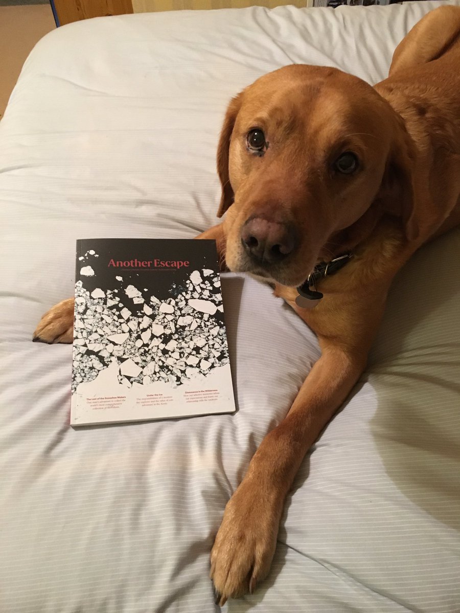 matthay44's tweet photo. The Frozen Volume is here! @AnotherEscape’s latest issue is beautiful - full of frozen imagery and fascinating, thought-provoking articles.

You will find no better magazine for these long #winter evenings...even my dog’s enjoying it and he can barely read. https://t.co/0ciD2flLlD
