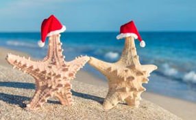 BPW Geelong Festive Drinks on 19 December - mailchi.mp/c7a88fa98222/l…