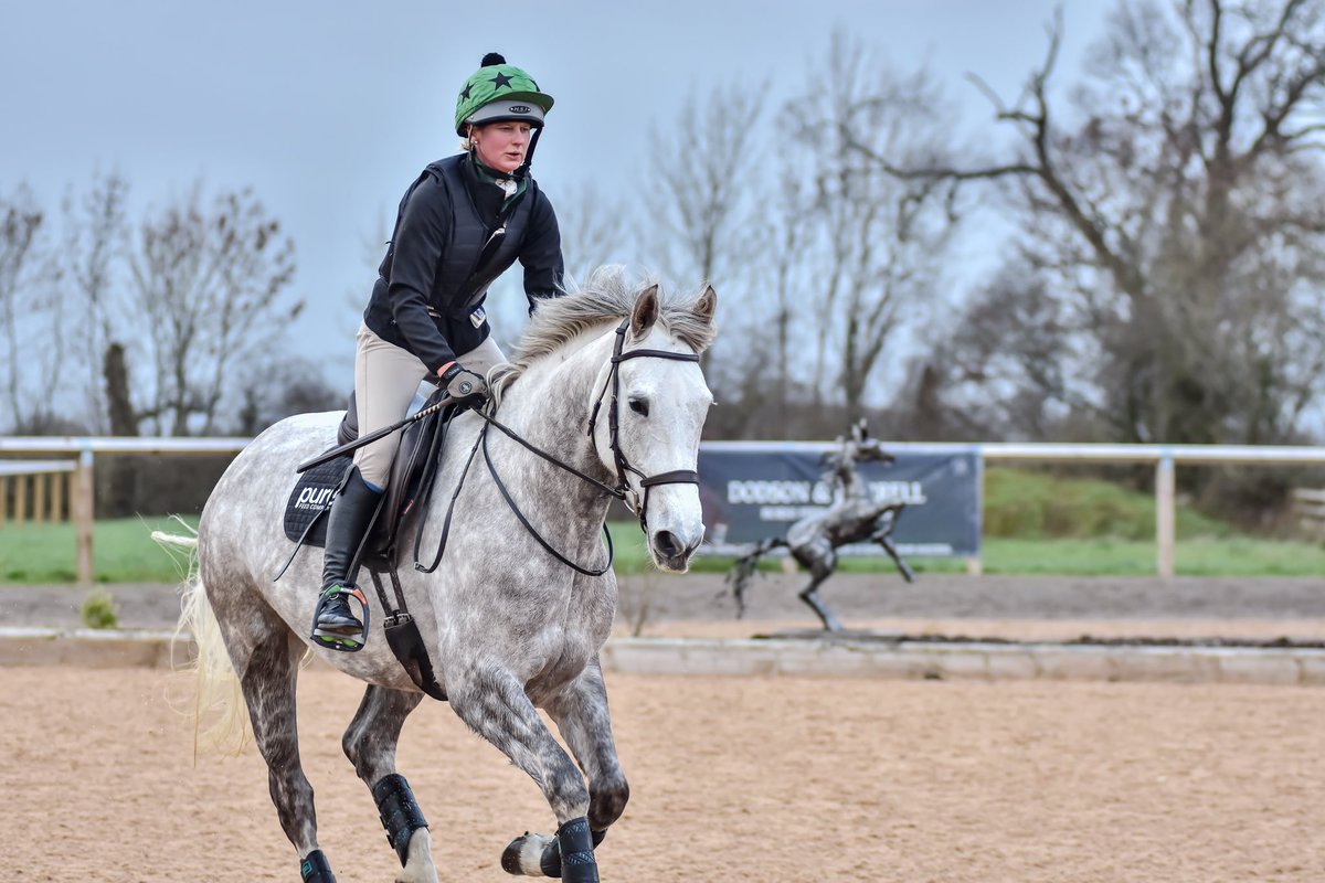 LizzieBlamire's tweet photo. Mamiegrey Arena Eventing Supported by @PureFeed #poweredbypure #hollybushfarm #cumbria https://t.co/qnPIGgevDX